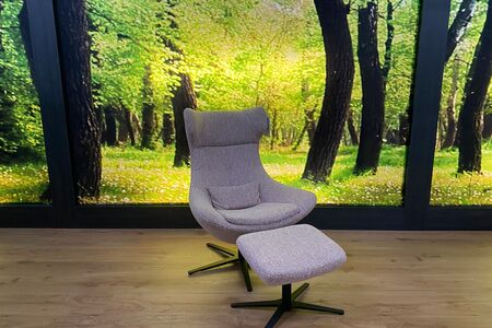 Sessel Modell SW 2119